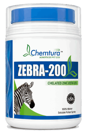 ZEBRA-200