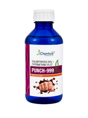 PUNCH-999