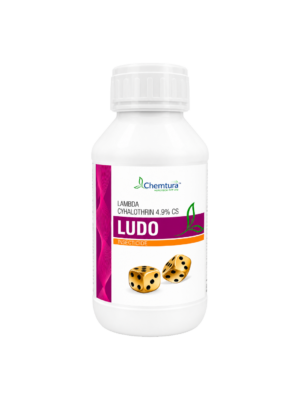 LUDO